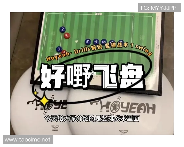 深圳飞盘队中路突破战术解析与实战应用探讨