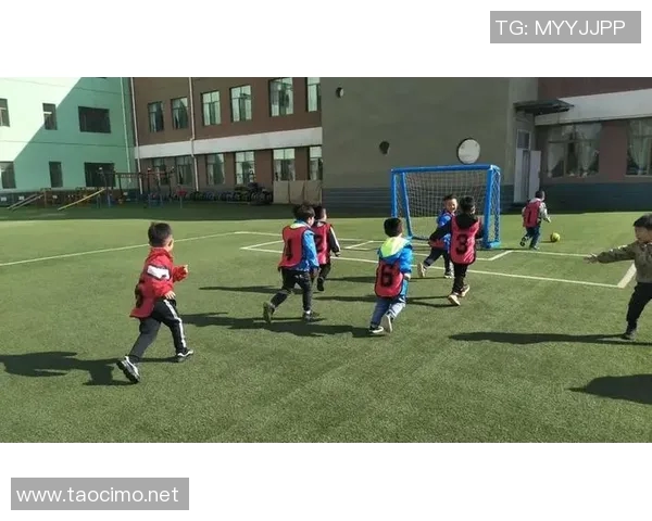 专访刘强：探寻足球背后的成功秘诀与发展之路