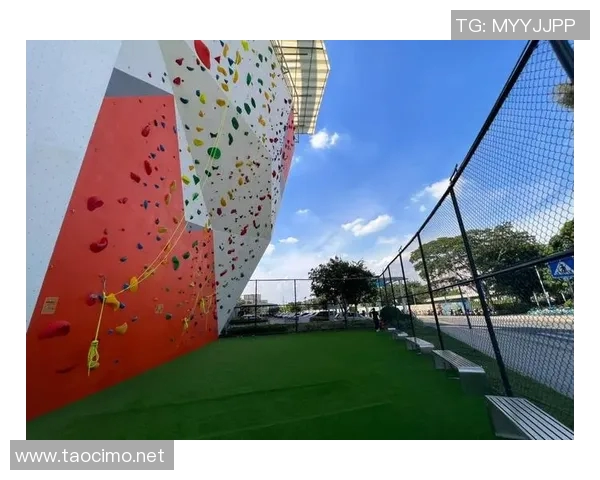 广州攀岩队灵活性探讨与训练方法分析助力攀岩运动发展