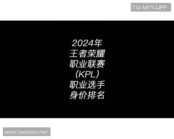 王者荣耀专题深入分析LNG选手个人能力与战术风格的全面解读