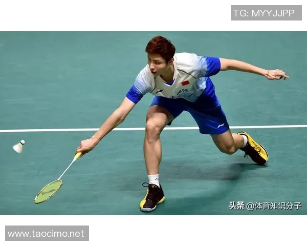 北京羽毛球队的速度之道：探秘训练与比赛中的极速表现