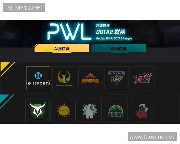 TES战队崛起之路解析：从默默无闻到DOTA2顶尖力量的蜕变与挑战
