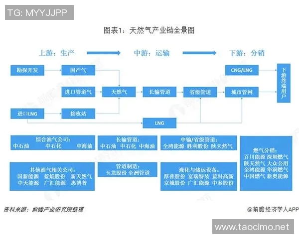 冠军杯特别报道：LNG战队拼搏历程与荣耀时刻的全景回顾