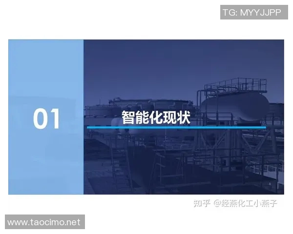 广州攀岩队运营分析:成功经验与面临挑战的深度探讨