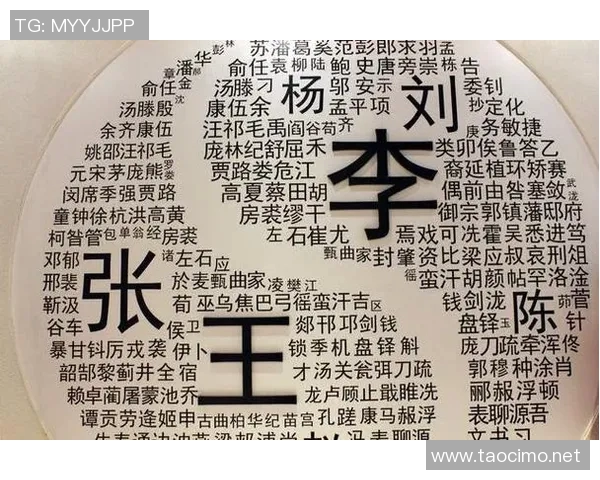 中国足球明星底薪排名揭晓谁是薪资最高的球员及其背后的故事