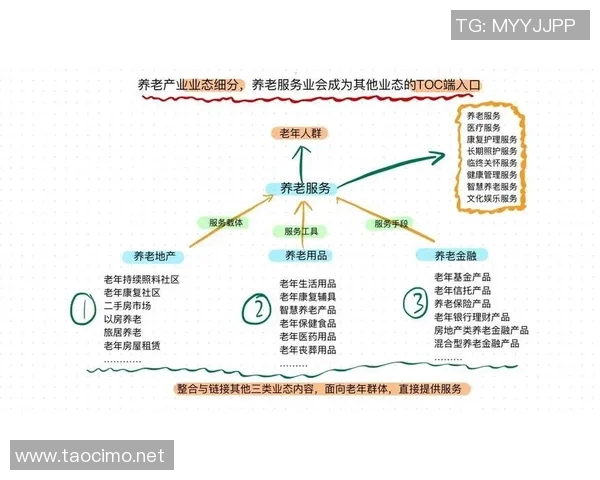 北京羽毛球队转型之路的挑战与机遇全景解析